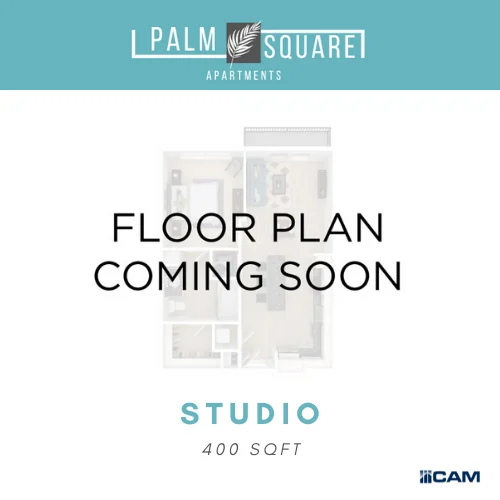 Palm Square photo 3